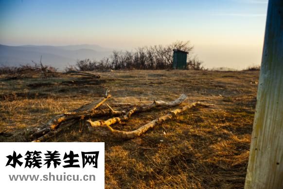 烧烤自助餐怎么吃