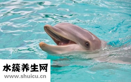 宝宝游泳哭闹怎么办