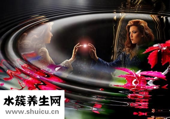 毒蛇咬到怎么办