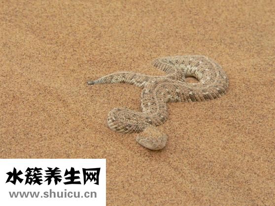 怎么画仙子