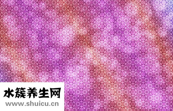 紫光怎么检测尿液