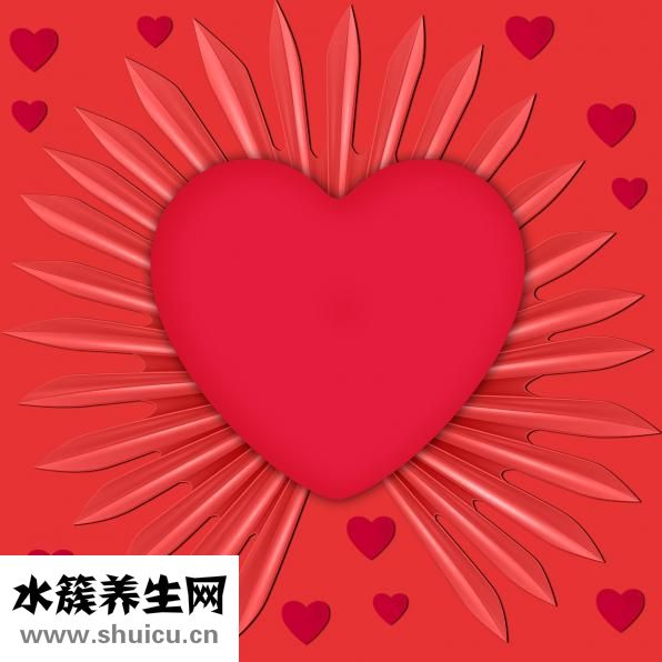 奔马律怎么治疗