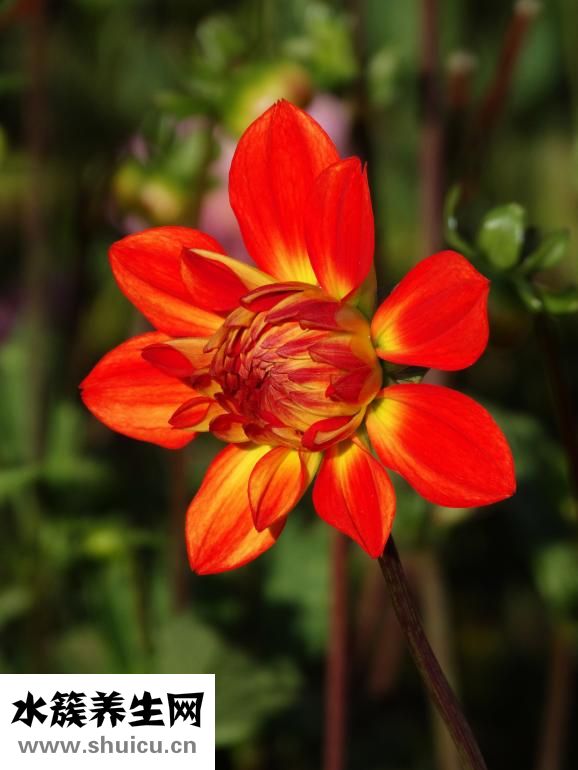 结直肠炎怎么治疗