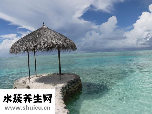 臭椿怎么吃