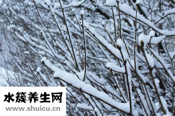 玩雪后手肿怎么办
