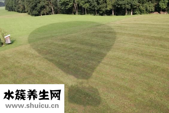 老人湿气重怎么办