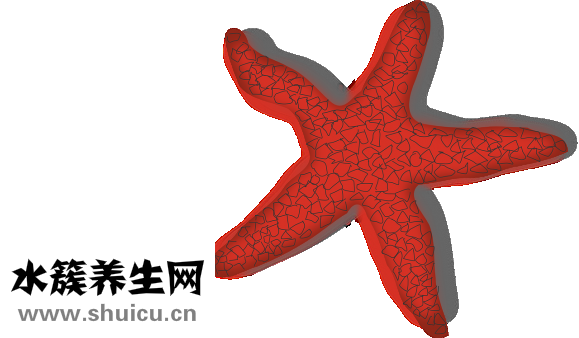 海星怎么去毒
