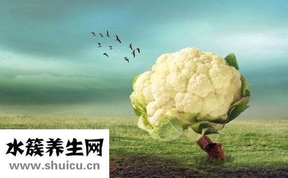 舌强语謇怎么治疗