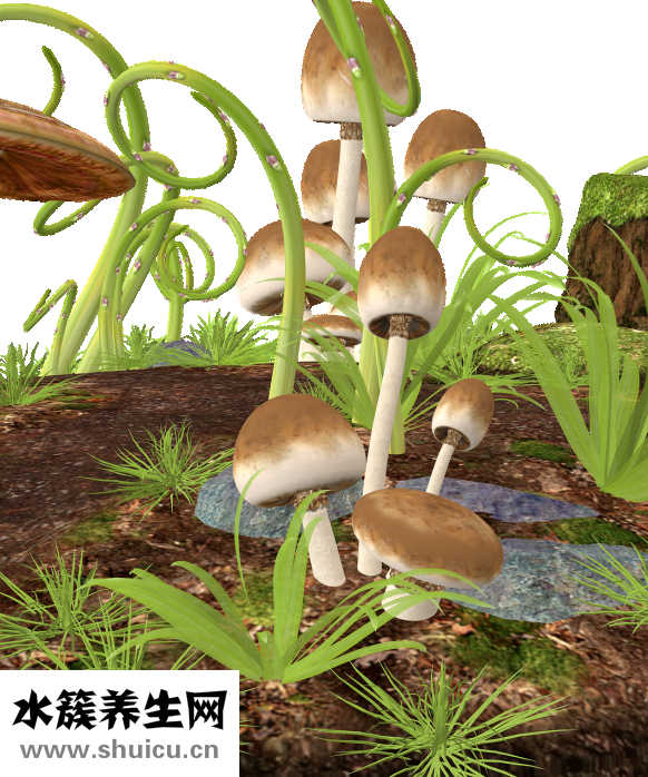 结直肠炎怎么治疗