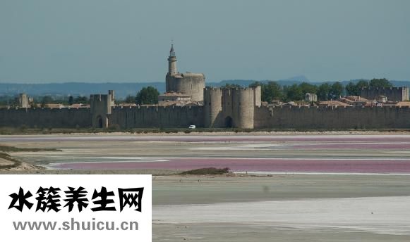 西柚苦的怎么处理