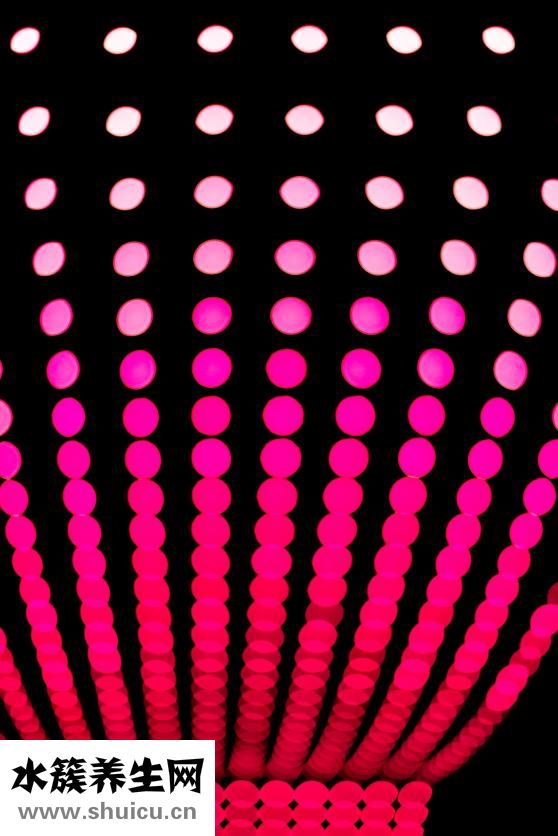 狗大便颜色重怎么了