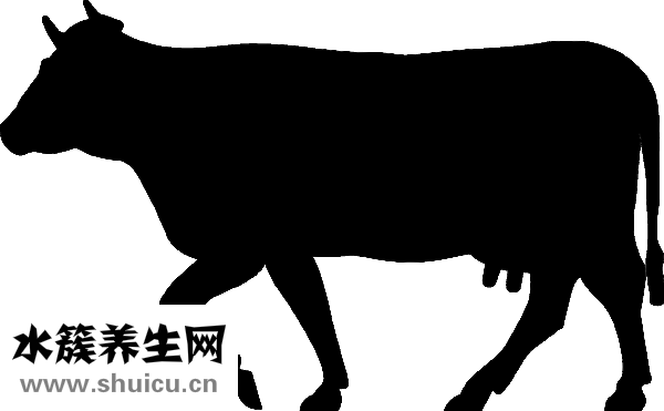 羊肉汤咸了怎么办