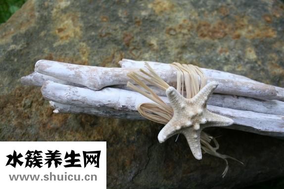 海星怎么去毒