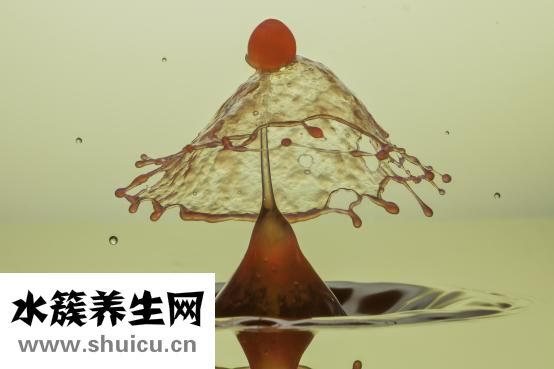 老人湿气重怎么办