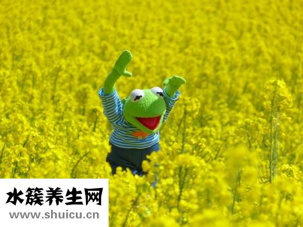峨山舂鸡怎么做
