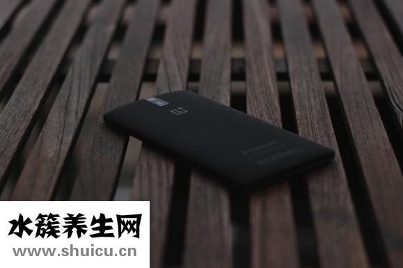 白菜炒鱿鱼怎么做