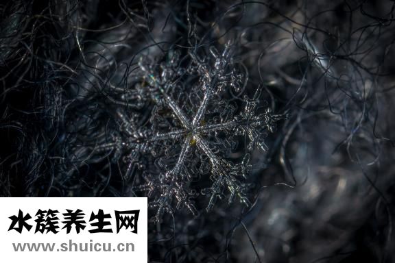 怎么折雪花