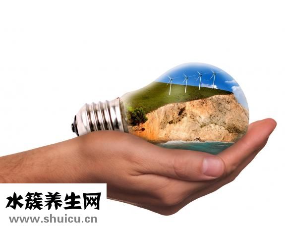 智商太低怎么办
