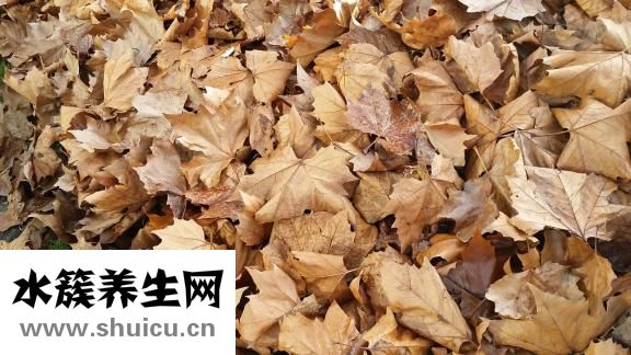 宝宝拉黄稀怎么办