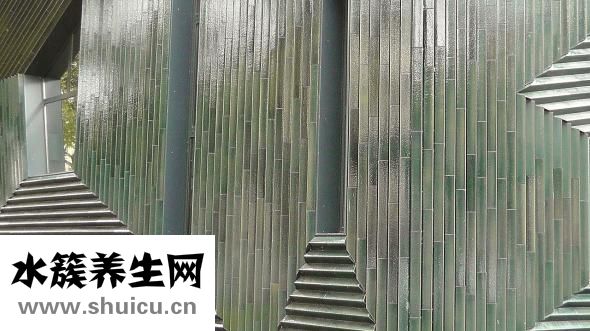 竹子是怎么生长的