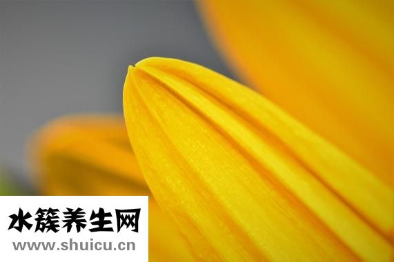 晨尿不黄怎么回事