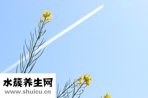 眼睛怎么画的好