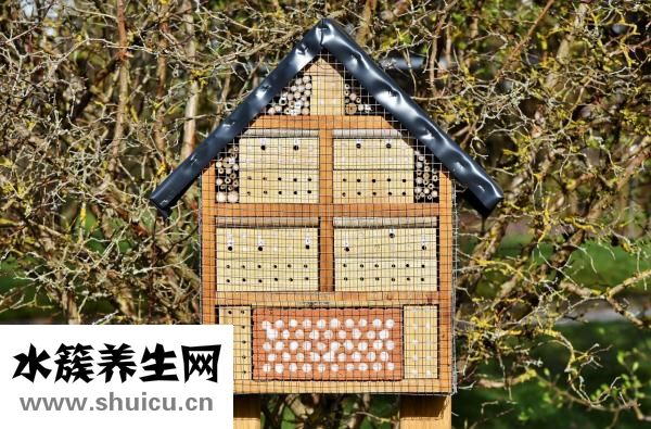 耳压不平衡怎么办