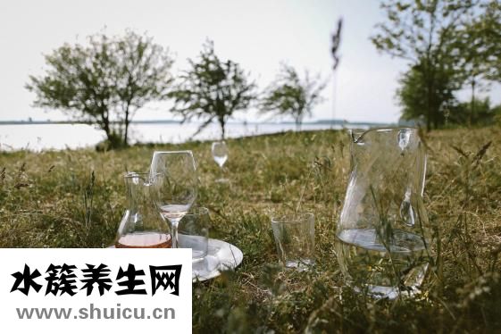 红酒混韭菜怎么办