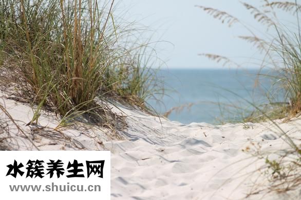 朋友圈的全文怎么发