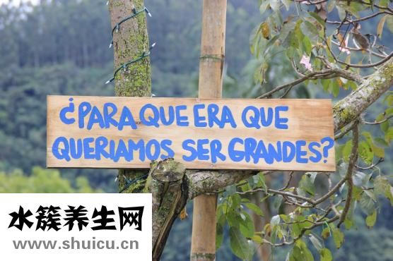 智商太低怎么办