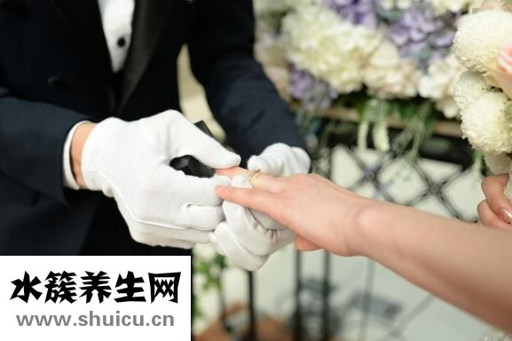 星盘重置盘怎么做