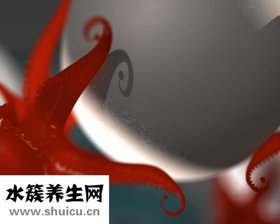 酸辣蒜蓉酱怎么做