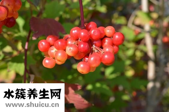 眼角膜发炎怎么治