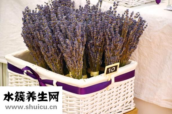 玉兰花精油怎么制作
