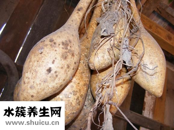 怎么挂葫芦