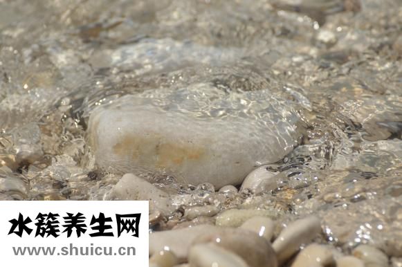 贴吧怎么粉别人