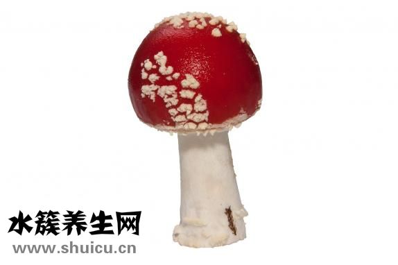 木耳怎么保存