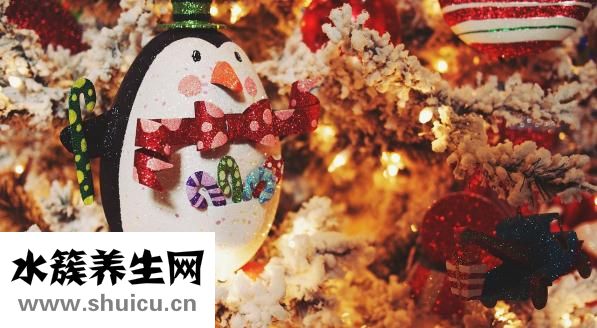 怎么给阴道放药
