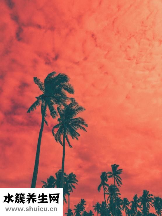 男的头发怎么变浓密