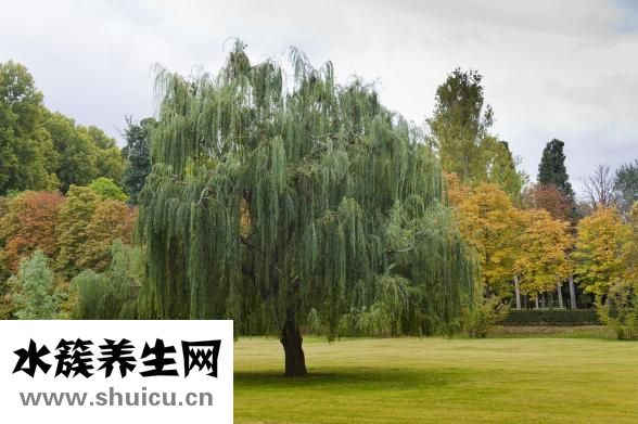 跑步长发怎么扎