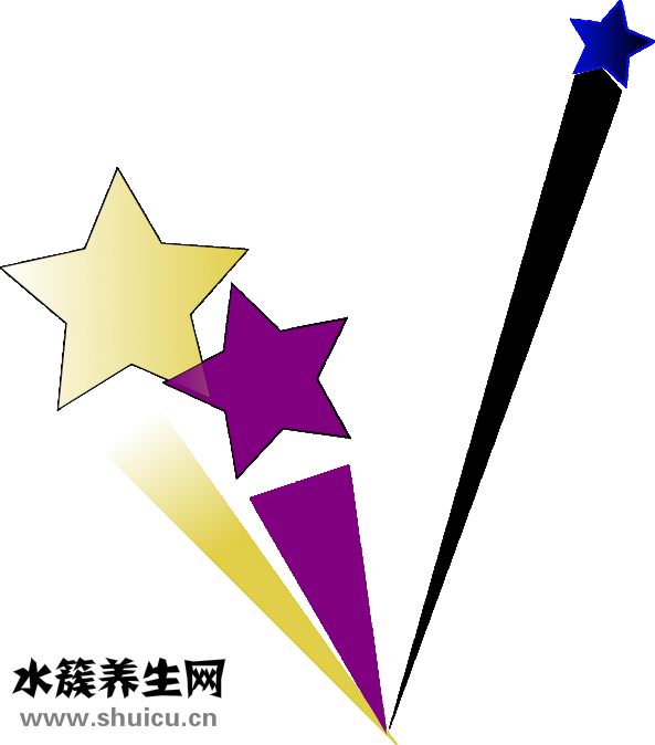 相机怎么拍星星