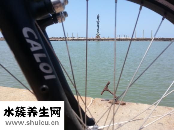 红薯叶和茎怎么吃