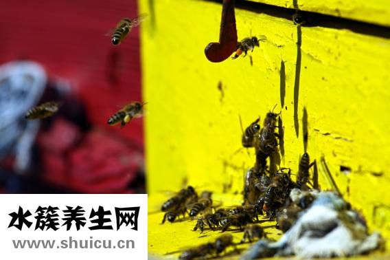 怎么给阴道放药