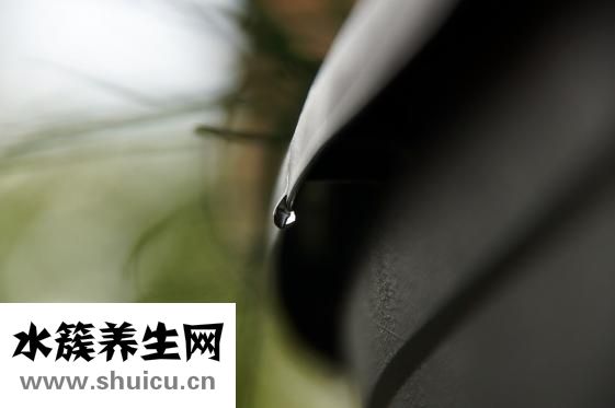 红薯泥怎么保存