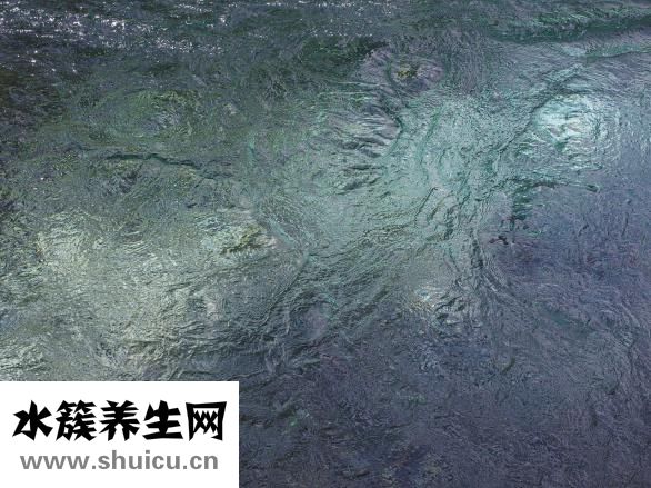 贴吧怎么粉别人