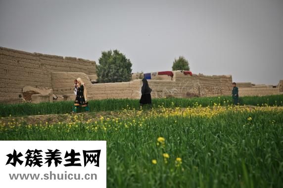 氧气管怎么补氧