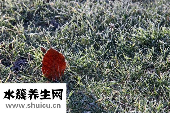 木耳怎么保存