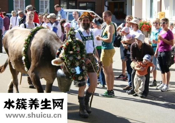 牛牛环怎么用
