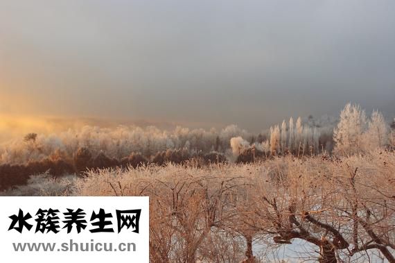 夜长怎么算