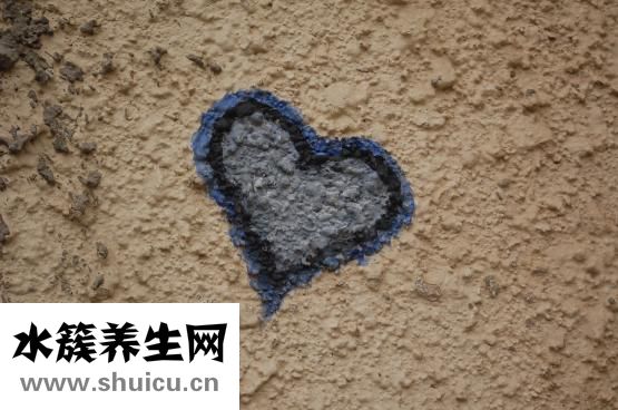瘫痪怎么治疗